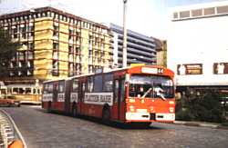 Bus 964